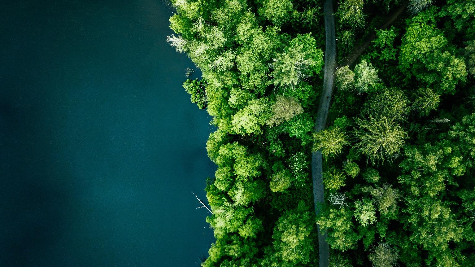 Climate Risk Is Financial Risk—Are You Prepared?