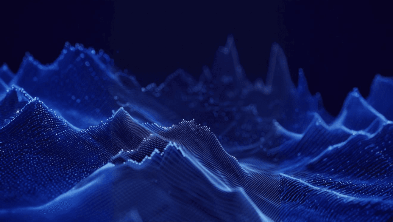 Capital Markets and Financial Risks of Non-Bank Financial Intermediaries (NBFIs)