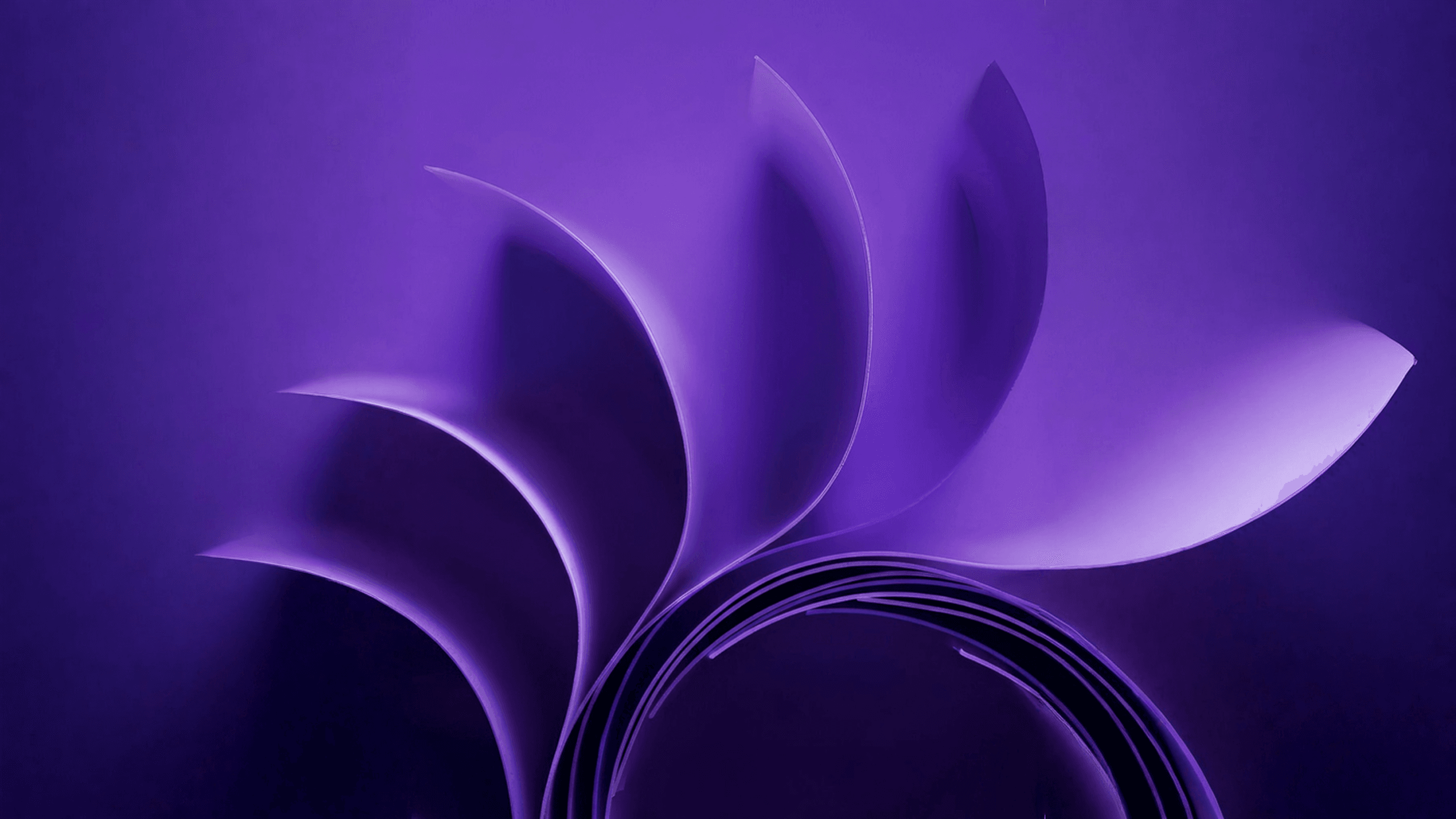 Practicing Stewardship: Decision and Action Under Uncertainty