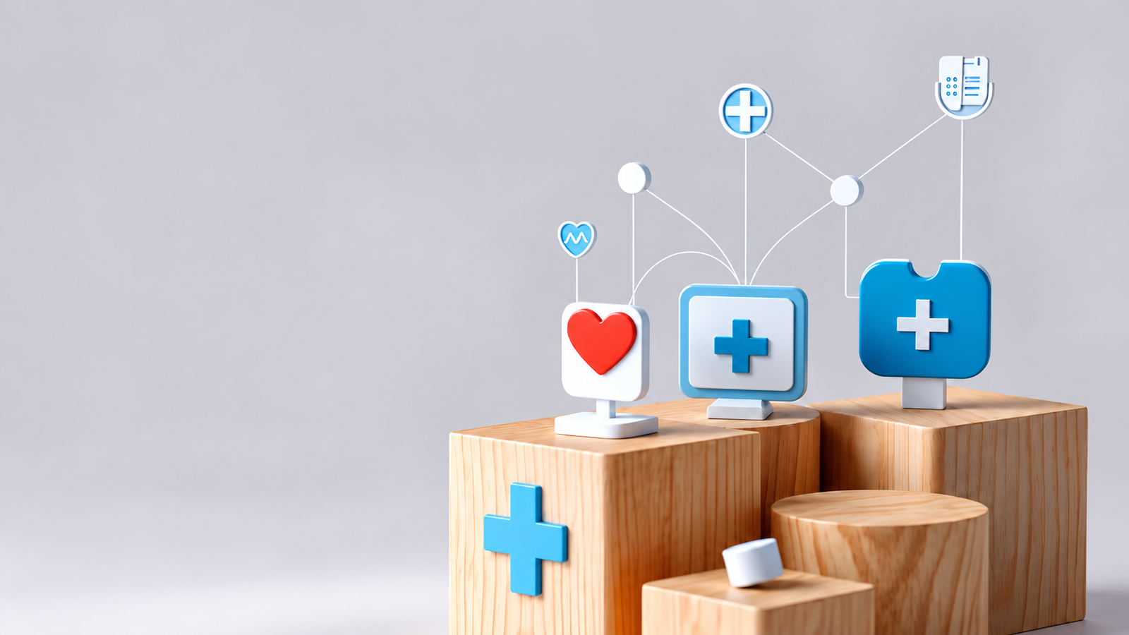 The Social Organization of Health in Mexico
